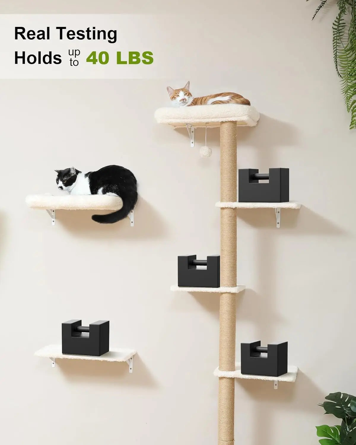 Cat Wall Shelves Set, 70 Inch Stable Wall Mounted Tree with Soft Cushion Perch, Space Saving Climbing Furniture for 16" Drywall - Beige