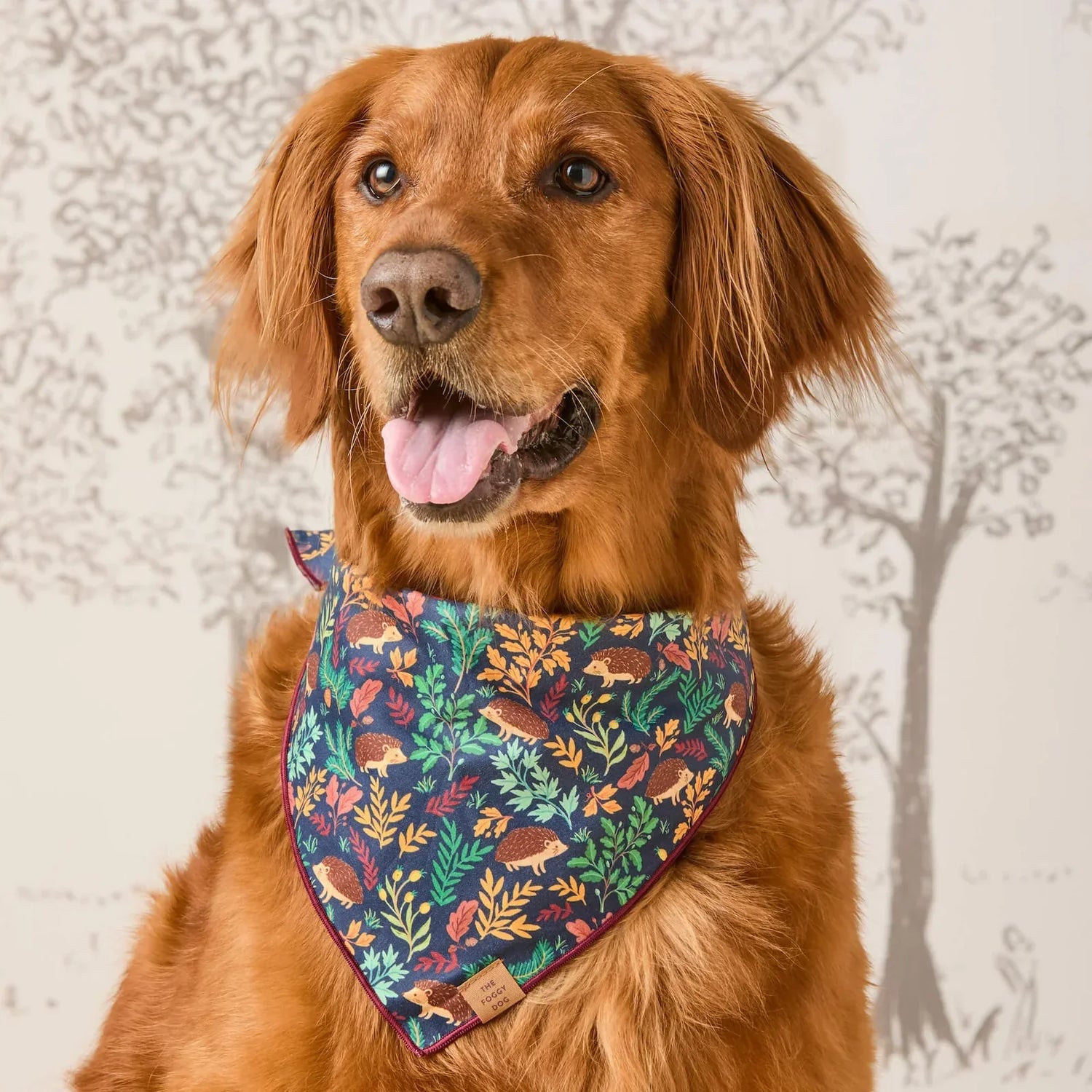 Bandanas