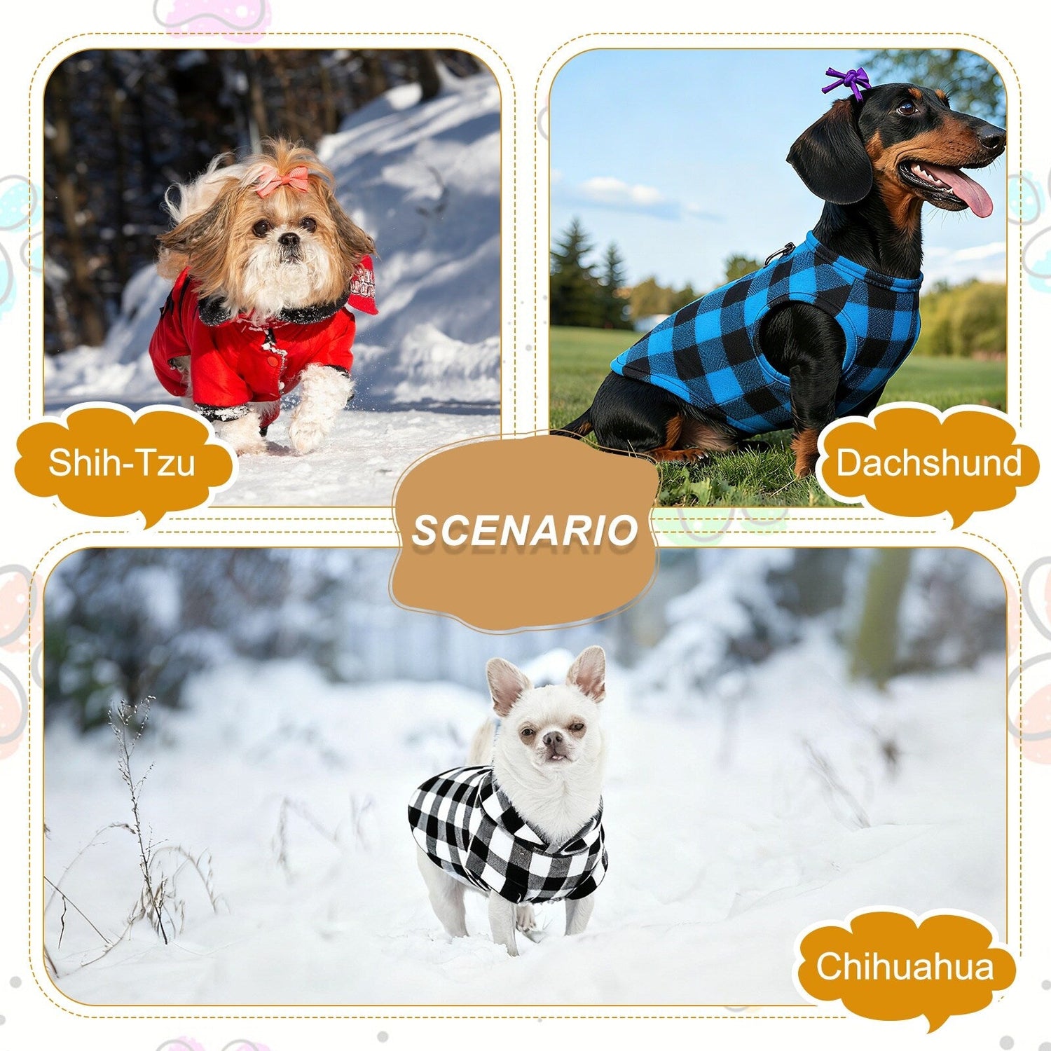 Pet Clothes
