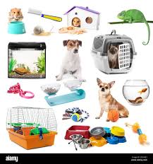 Pet Supplies
