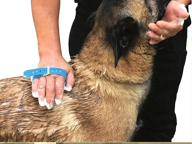Pet Dog Bath Head Puppy Grooming Washing Sprayer Extra Long Tube Massage Shower Tool Large Dog Cleaning Brush Pet Supplies