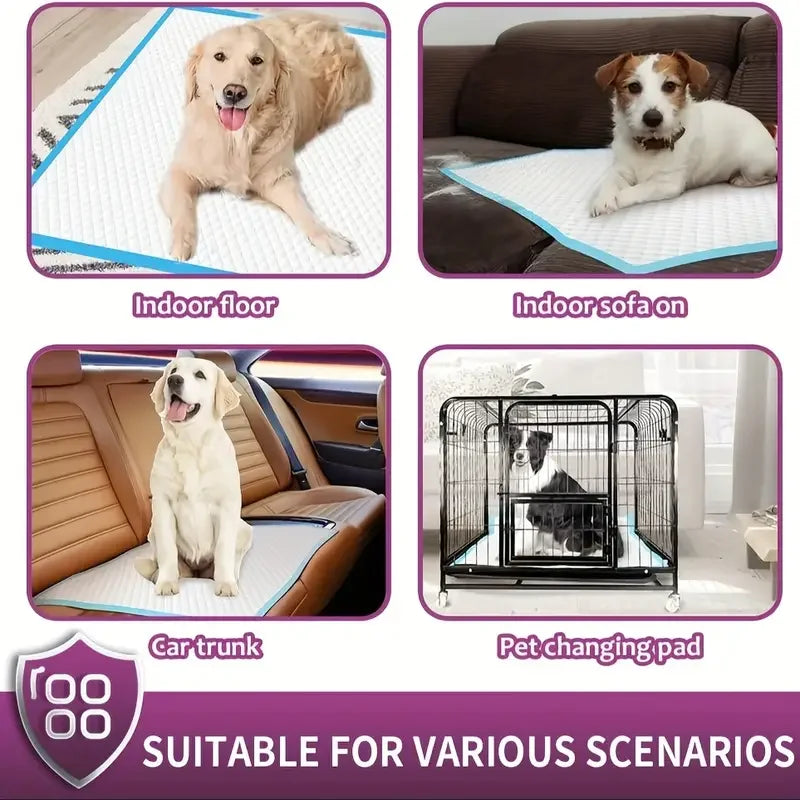 XXL Dog Pee Pads | Various Sizes Of Premium Disposable Dog Training Pads | Super Absorbency | Blue Extra Strength Leak-Proof