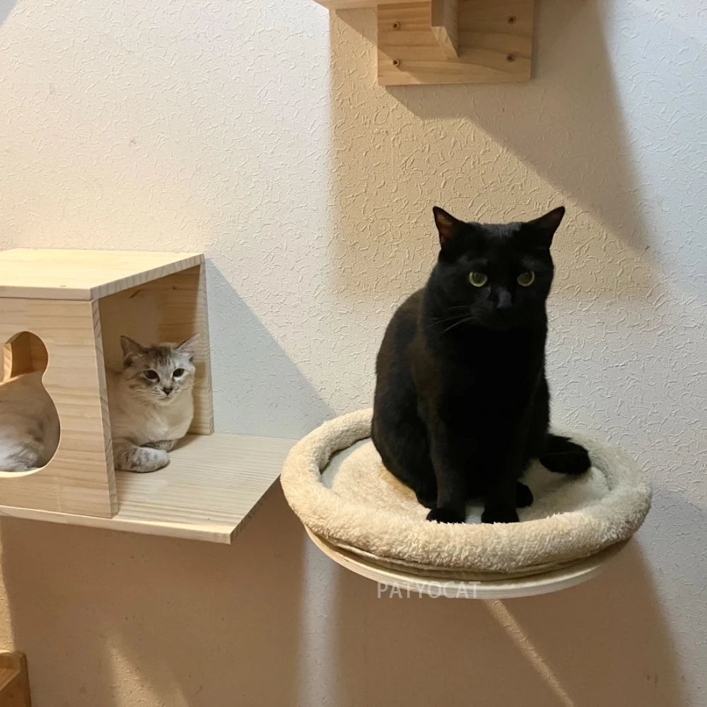 Wall-Mounted Cat Climbing Rope Wooden Cat Tree Hammock Step Ladder Natural Sisal Cat Scratching Post Indoor Wall Cat Furniture