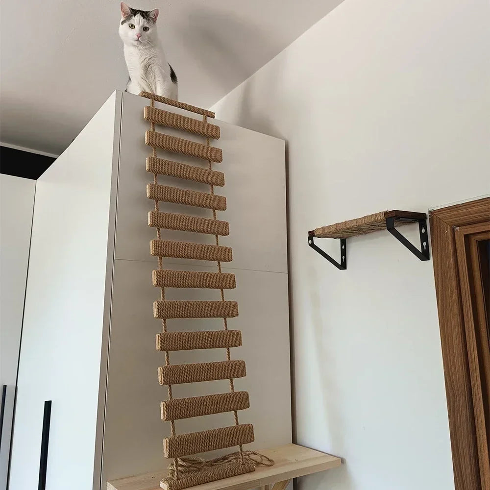 Cat Climbing Shelf Wall Cat Furniture Wooden Tree Tower Scratching Post Hiding House Nest Hanging Hammock Ladder Indoor Cats Gym