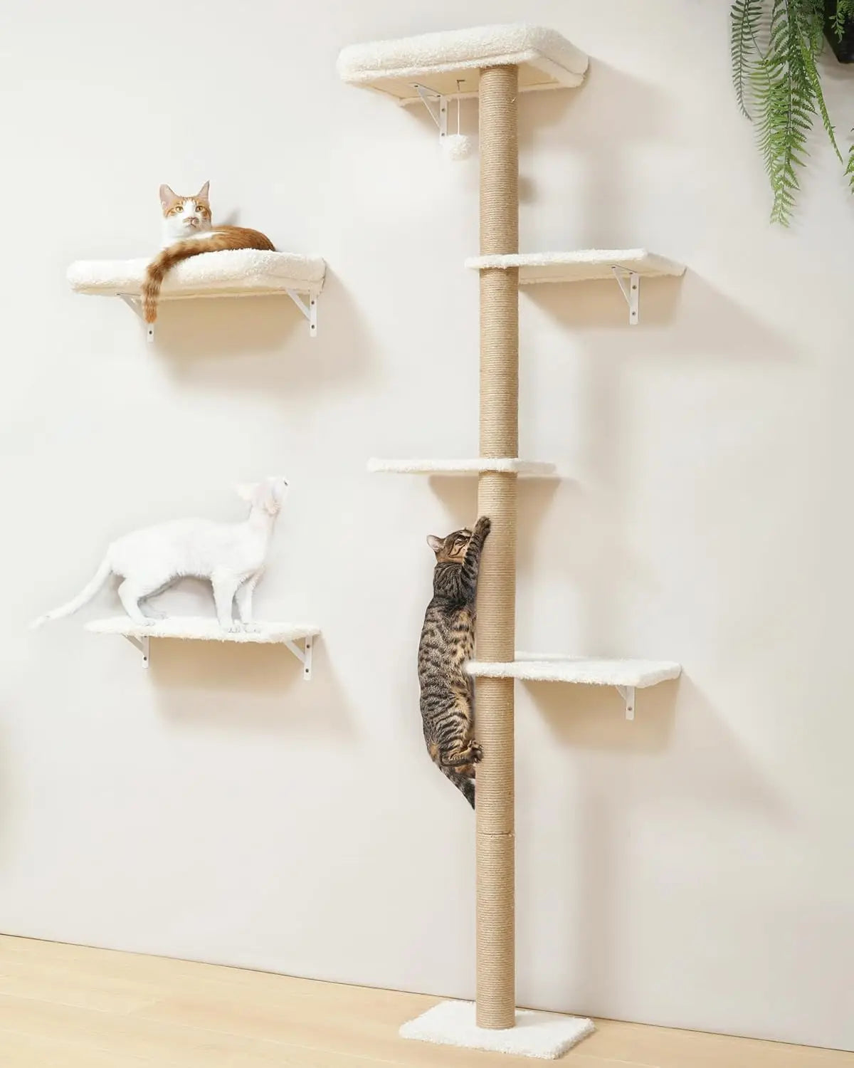 Cat Wall Shelves Set, 70 Inch Stable Wall Mounted Tree with Soft Cushion Perch, Space Saving Climbing Furniture for 16" Drywall - Beige