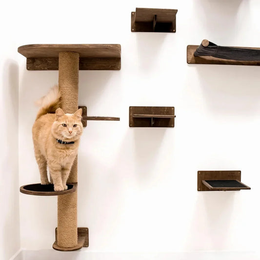 Cat Climbing Shelf Wall Cat Furniture Wooden Tree Tower Scratching Post Hiding House Nest Hanging Hammock Ladder Indoor Cats Gym