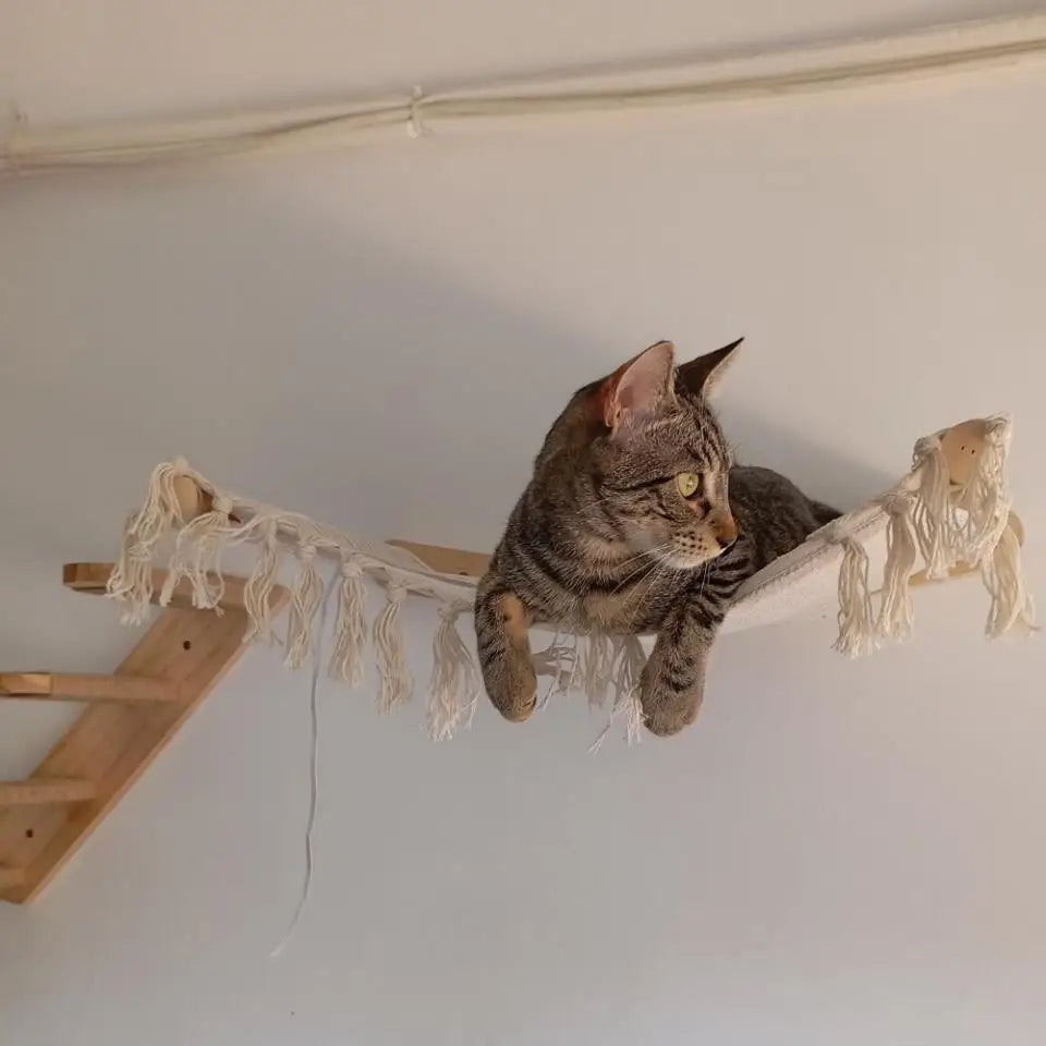 Cat Wall Shelves Climbing Systems Large Cat Furniture Shelf Set Wall Hanging Mounted Hammock Sisal Scratching Perch Bed Ladder