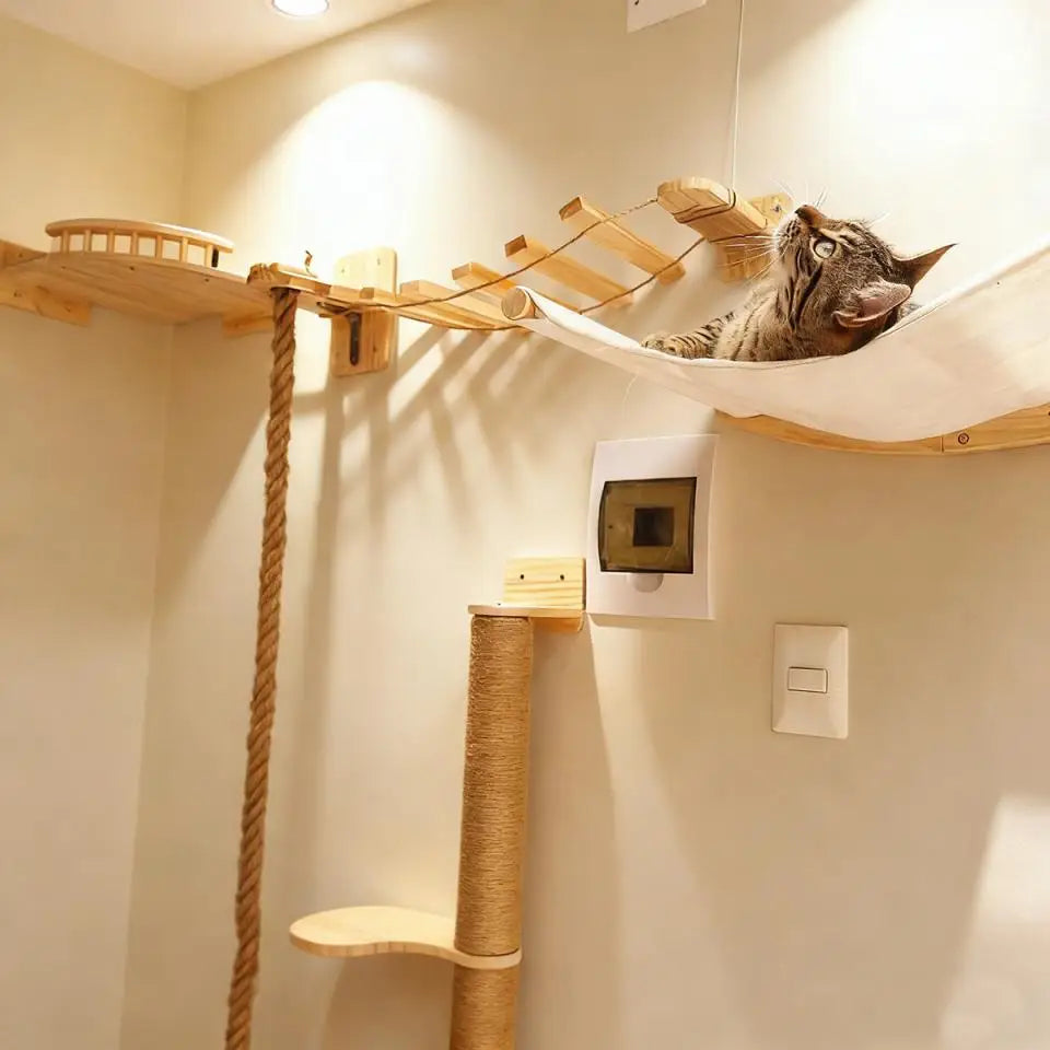 Cat Wall Shelves Climbing Systems Large Cat Furniture Shelf Set Wall Hanging Mounted Hammock Sisal Scratching Perch Bed Ladder