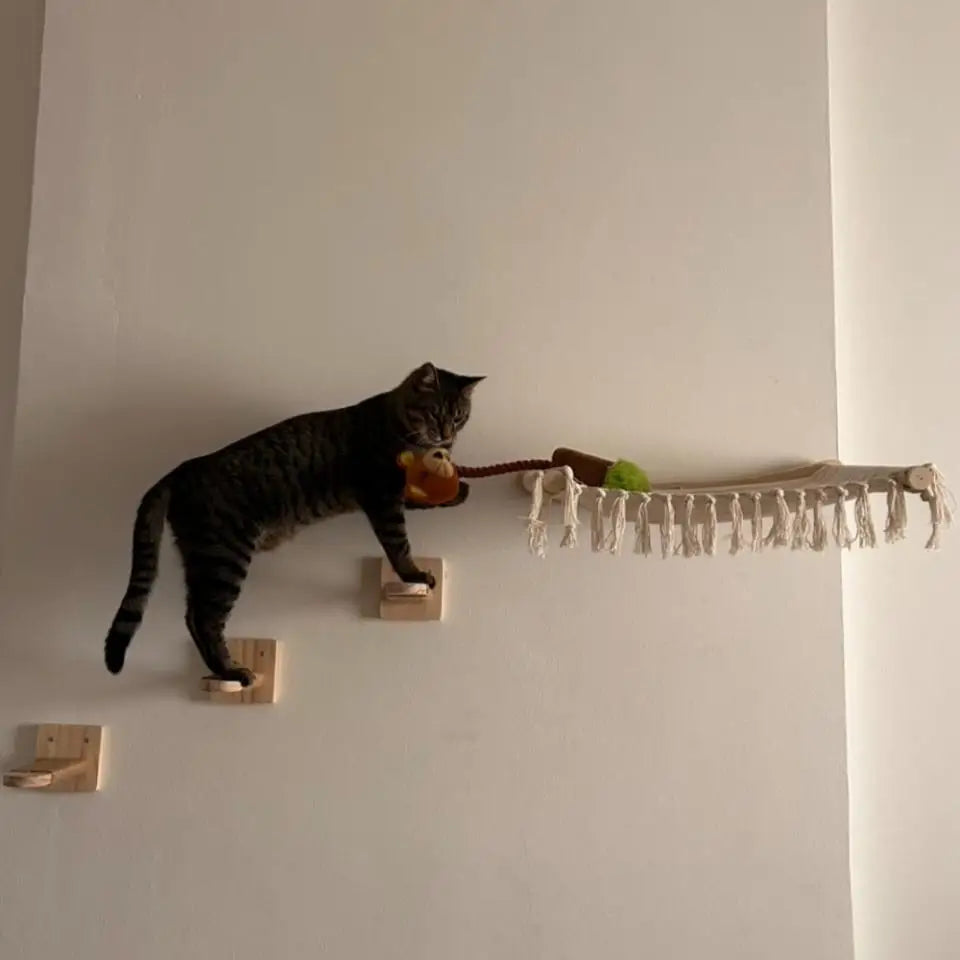 Cat Wall Shelves Climbing Systems Large Cat Furniture Shelf Set Wall Hanging Mounted Hammock Sisal Scratching Perch Bed Ladder