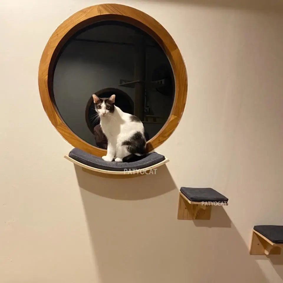 Cat Wall Shelves Climbing Systems Large Cat Furniture Shelf Set Wall Hanging Mounted Hammock Sisal Scratching Perch Bed Ladder