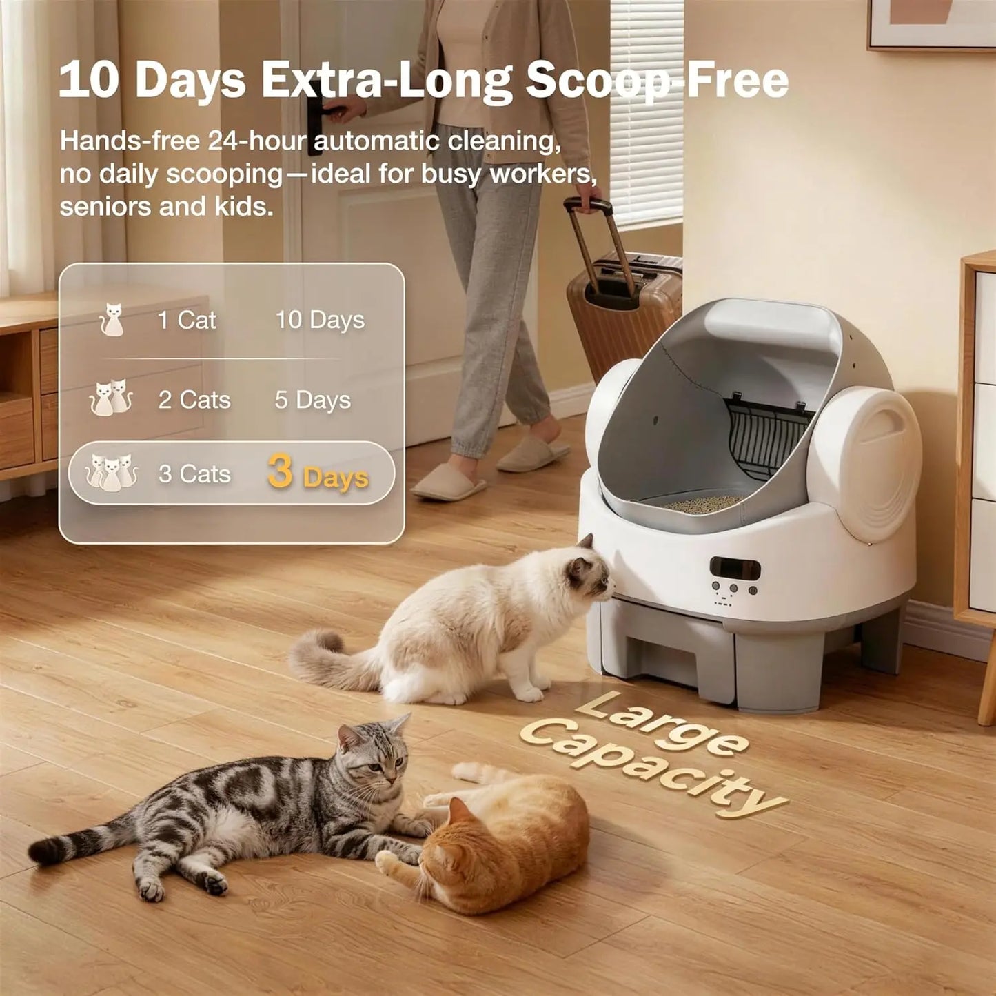 Self-Cleaning Cat Litter Box, Open-Top Automatic Litter Box with Child Lock, 10L Large Capacity Waste Drawer, No APP, Custom
