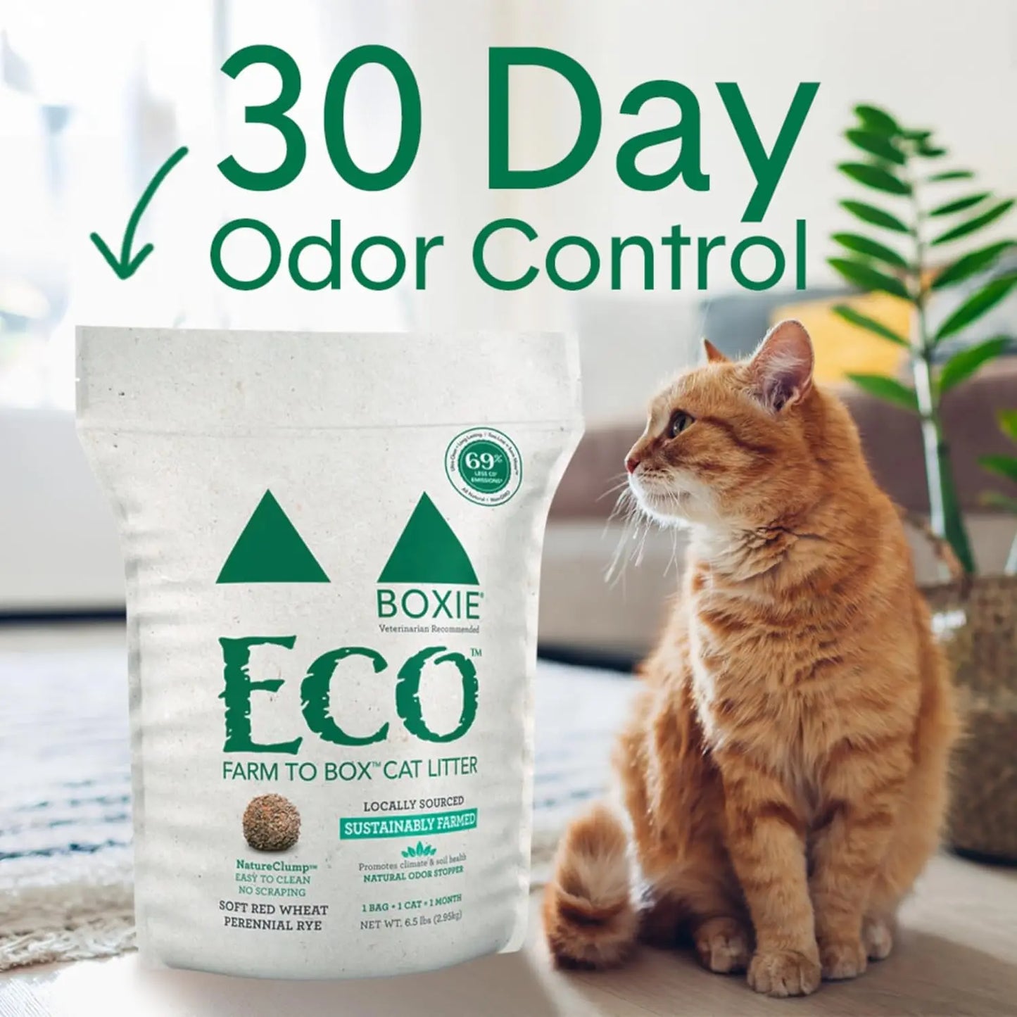 Clumping Cat Litter 6.5lb Plant-Based with 30 Day Odor Control and Dust Free for Easy Scoop