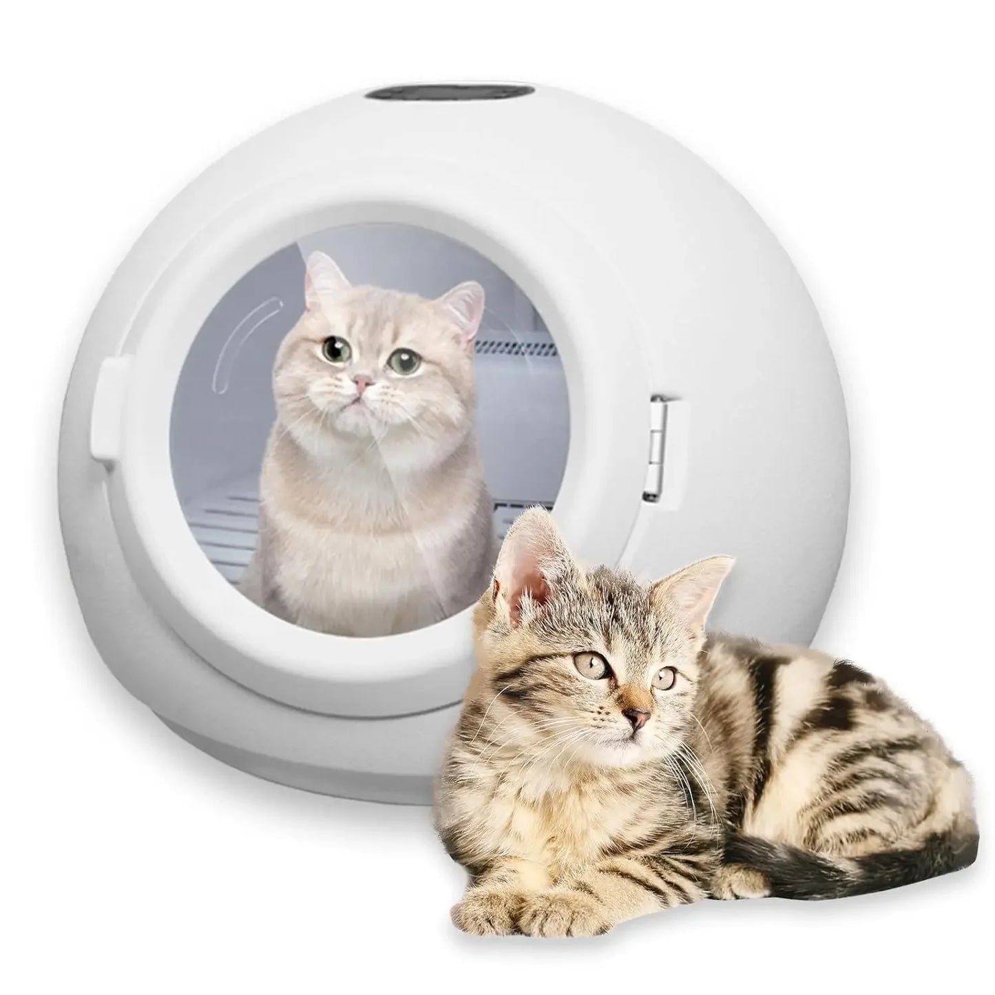 55L Automatic Pet Dryer Box, Adjustable Temp & Time, 110V for Cats & Small Dogs Grooming, Custom