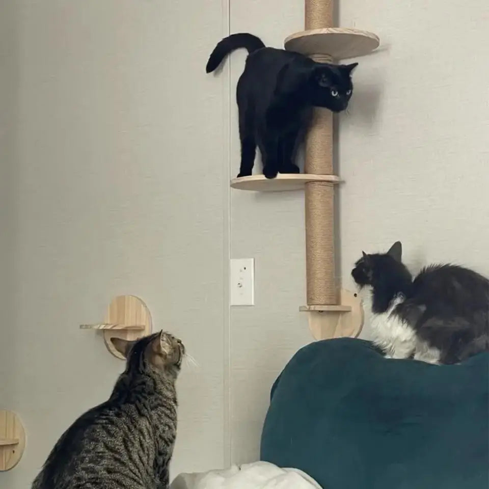 Wooden Cat Climbing Shelves Wall Mounted Cat Tree Sisal Scratching Post Pedal Hammock Indoor Kitten Playground Cats Accessories